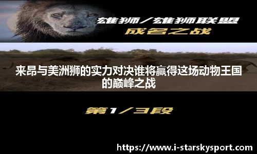 星空体育官网